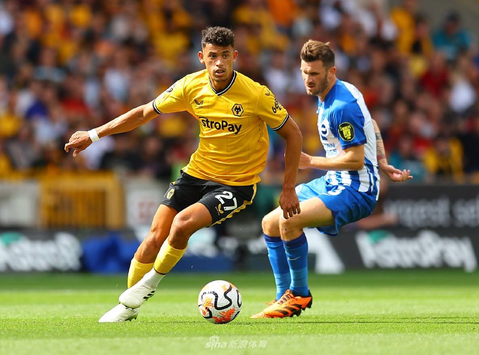 球类运动 球类运动